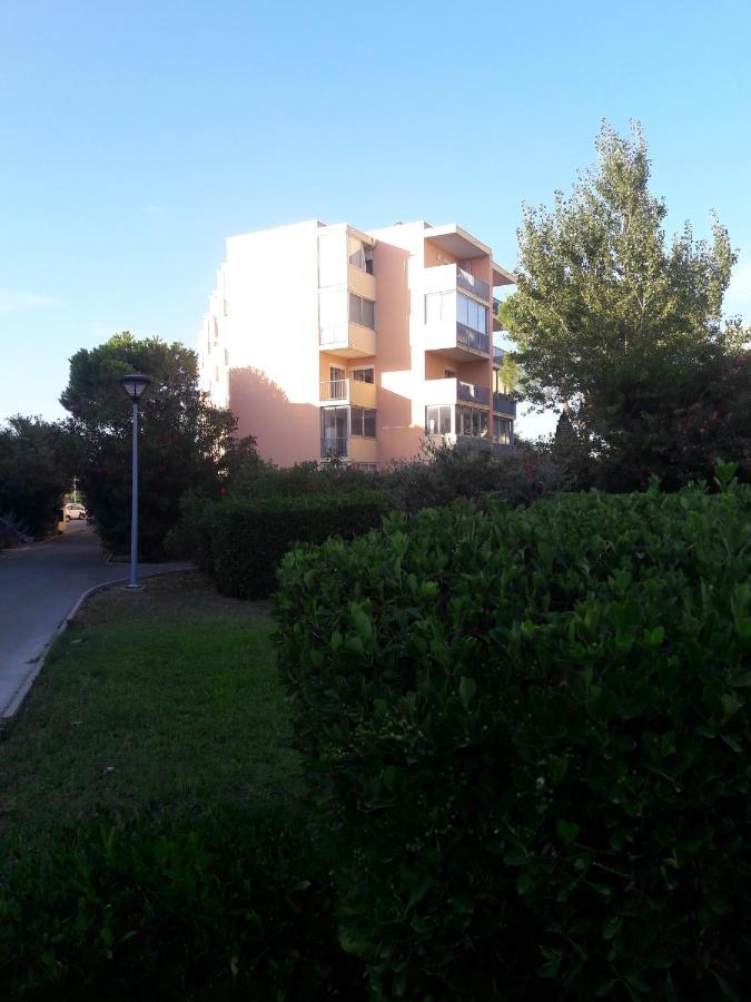 Apartment Joli Appt 2 Et Avec Parking Dans Ombragee Et Calme 5mns Et Commerces *